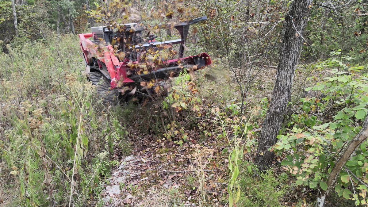 Disc mulcher grinding a sapling on a wooded lot in Lascassas, TN