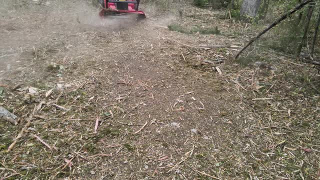 Walkable ground the same day after forestry mulching in Lascassas, TN