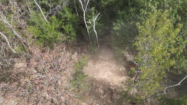 Aerial view of forestry mulching opening up the woods in Rutherford County, TN